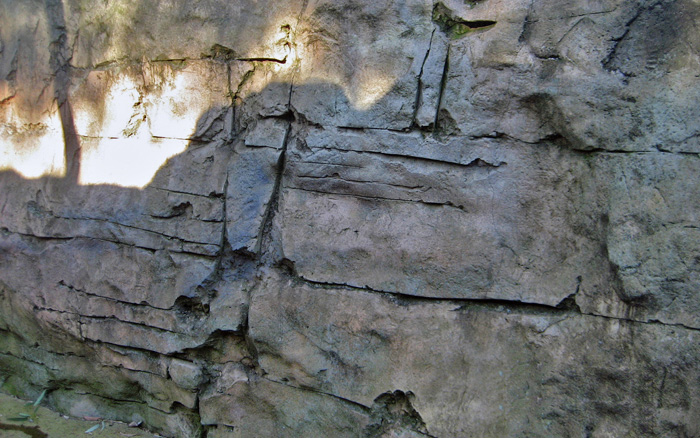 Rock work carved and shaped over Gabion stone cages - Taronga Zoo