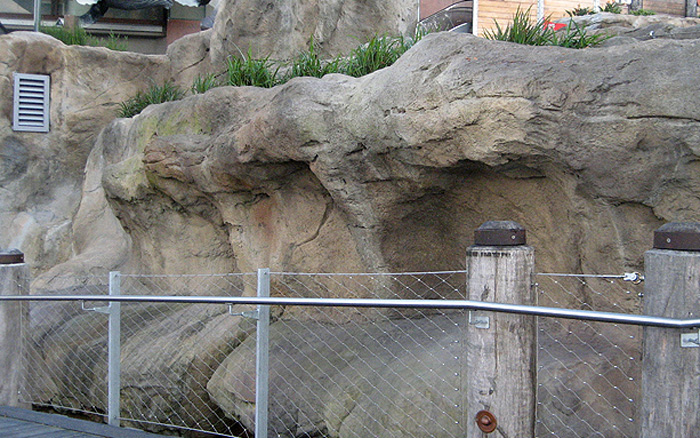 Artificial concrete rocks over real sandstone ledge - Taronga Zoo