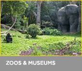 ZOO & MUSEUMS