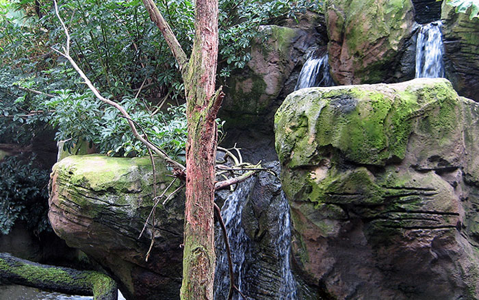 Natural looking mock rock for Wetland Aviary - Taronga Zoo