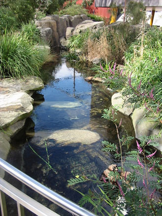 Water course - Melbourne Exhibition Centre