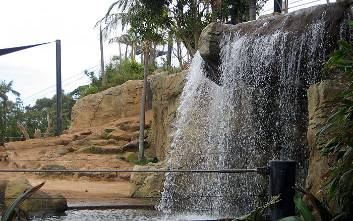 Large waterfall for the Elephant's enclosure - Taronga Zoo