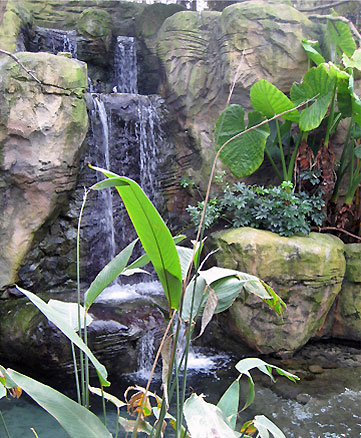 Wetland Aviary mock rock - Taronga Zoo