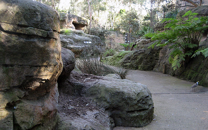 Mock rock throughout Aviary bush walk - Taronga Zoo