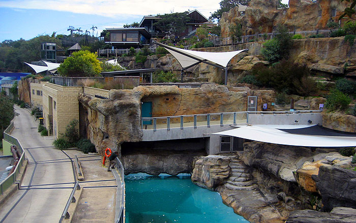 Overview of the Seal and Penguin Enclosure - Taronga Zoo