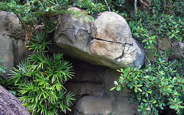 Hidden entrance to private cave - Sydney